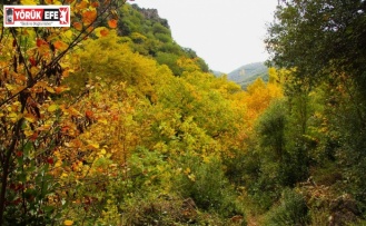 Sonbaharın güzelliğine bürünen Koçak Kanyonu’na dikkat çektiler