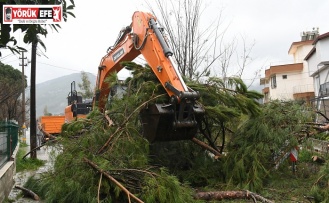 KUŞADASI BELEDİYESİ EKİPLERİ OLASI BİR FACİANIN ÖNÜNE GEÇTİ