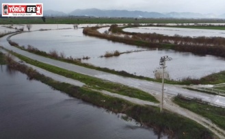 Büyük Menderes nehrindeki taşkın karayolunu kapattı