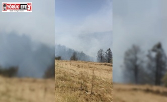 Buharkent ve Kuyucak’ta faciadan dönüldü
