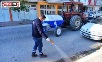 İncirliova Belediyesi ilaçlama çalışması başlattı