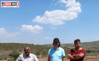 Nazilli’de siyah elma ve mor aronya fidanları toprakla buluştu