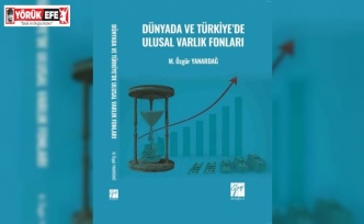 ADÜ Öğretim Üyesi Yanardağ’ın ’Dünyada ve Türkiye’de Ulusal Varlık Fonları’ adlı kitabı yayımlandı