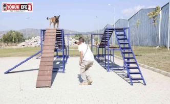 Aydın Büyükşehir Belediyesi’nin arama-kurtarma köpeği ’Zeyna’ mezun oldu