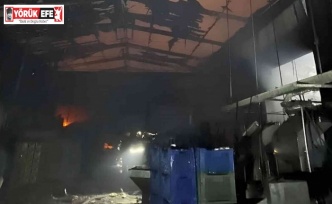 Zeytin fabrikasında çıkan yangın büyük çapta maddi hasara yol açtı