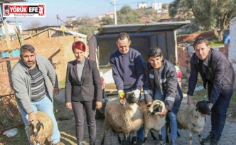 Başkan Çerçioğlu koyunları telef olan üreticiye destek oldu