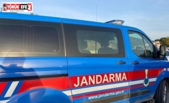 Arı kovanı hırsızları jandarmaya yakalandı