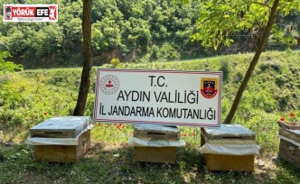 Arı kovanı hırsızları yakalandı