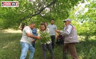 Köşk’te üreticiler Kestane Gal Arısı’na karşı bilgilendiriliyor