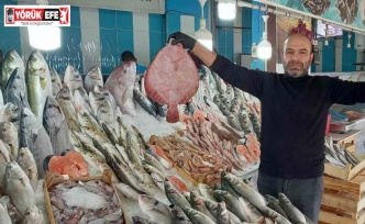 Ege’de yaz gitmeyince balıklar da gelmedi
