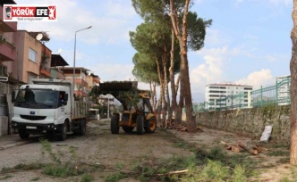 Nazilli’de kış hazırlıkları devam ediyor
