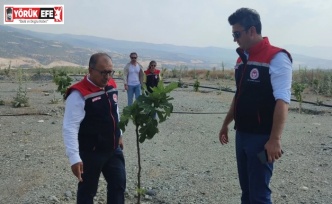 Aydın’da incir üretimine kalite katacak proje denetlendi