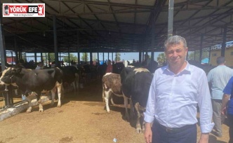 Başkan Künkcü hayvan pazarına indi