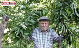 Ege bu yıl meyveye hasret