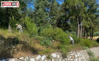 Karacasu Belediyesi’nden Dedebağ’da temizlik çalışması