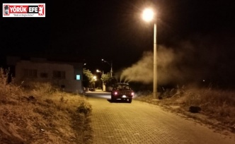 Karacasu’nun ’sinek timi’ işbaşında