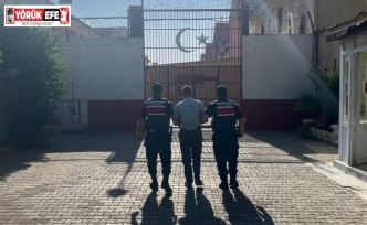 Kazada 1 kişinin ölümüne neden olan sürücü tutuklandı