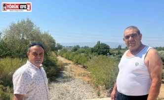 İkizdere Barajı’ndan su bırakılmadı, ağaçlar kurudu