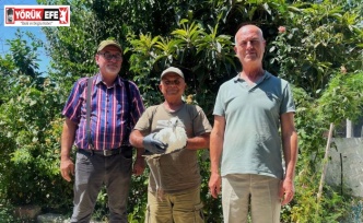 Yavru leyleği kurtarıp, deniz kaplumbağası yumurtalarını koruma altına aldılar