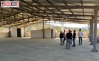 Yenipazar’da çok amaçlı binada tadilat çalışmaları başladı