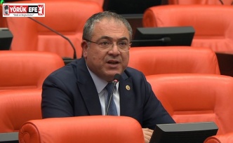 KARAKOZ: “İTHALATÇIYA DEĞİL, ZEYTİNCİMİZE, ZEYTİNİMİZE SAHİP ÇIKIN!”