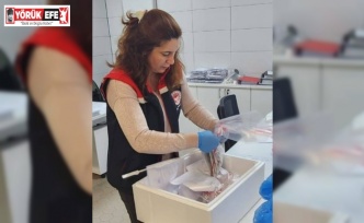 Söke’den ihraç edilecek balıklara analiz