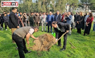 Sultanhisar’da fidanlar toprakla buluştu