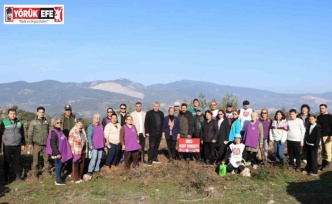 Söke’de fidanlar toprakla buluştu