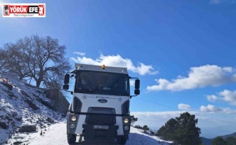 Aydın Büyükşehir Belediyesi’nden Paşa Yaylası’nda tuzlama çalışması