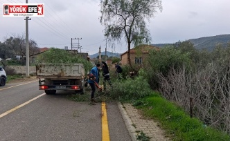 EFELER BELEDİYESİ KUVVETLİ FIRTINA VE SAĞANAĞA KARŞI SAHADA