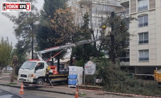 Efeler Belediyesi Olası Risklerin Önüne Geçiyor