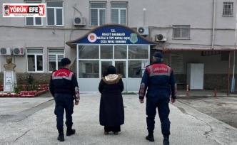 Kuyucak’ta terör örgütü üyesi yakalandı