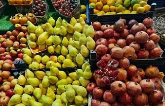 Aydın’da kış meyve ve sebzeleri tezgahlarda yerini aldı