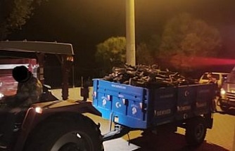 Traktörü ve kasasındaki 3 ton odunu çalarken yakalandı
