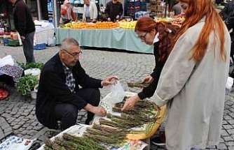 Aydın’ın acı otu, fiyatıyla da görenlerin yüzünü buruşturuyor