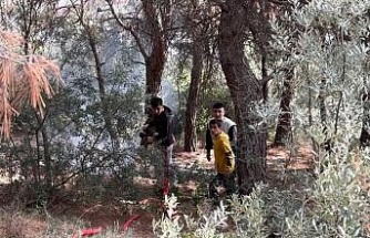 Kuşadası’nda okul öğrencilerinin yangınla imtihanı