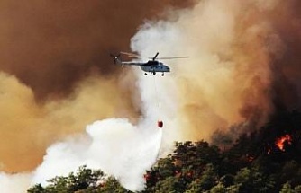 Aydın’da orman yangınlarına karşı tedbirler alındı