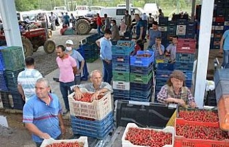 Yaylalarda erik ve kiraz hasadı başladı, Mendegüme ticaret merkezi oldu