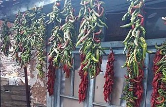Karacasu’da tarihi semerciler arastası rengarenk oldu