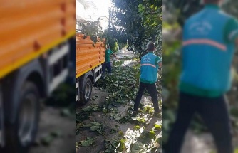 Kuşadası Belediyesi’nin kış hazırlıkları işe yaradı