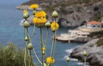 Kuşadası yeni bir turizm rotası daha kazandı