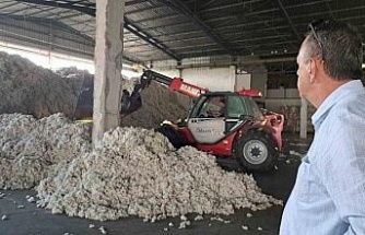 Söke TARİŞ’in iki deposuna 3 milyon kilogram pamuk girişi oldu