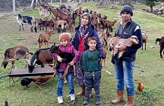 “Kavşit Köyü ve Yöresi Keçicilik Projesi” devam ediyor
