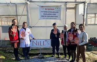 Söke’de şiddete karşı farkındalık etkinliği