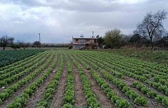 Yağış ve doludan etkilenen tarım arazilerinde kontroller başladı
