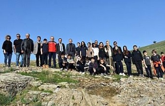 Aydın’da yürütülen proje kapsamında fıstık çamı ve akasya ağacı dikimi yapıldı