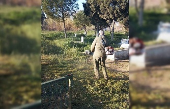 Germencik Belediyesi, bayram öncesi mezarlıklarda bakım çalışması başlattı