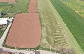 Herkesin tarlası yeşile büründü, onunki kahverengi kaldı