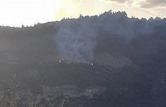 Yaz gelmeden orman yangınları başladı