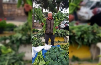 Aydın’da enginar sezonu açıldı, tezgahlar yeşile büründü